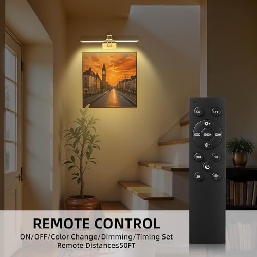 Neymlya 24 Inch Gold Rechargeable Wireless Picture Light with Remote & Dimmable LED
