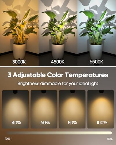 Rechargeable Indoor Spotlight with Remote - Black, 3000mAh, 3 Color Temperatures