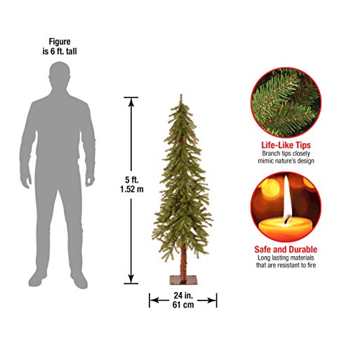 5ft Unlit Hickory Cedar Artificial Christmas Tree - Realistic Holiday Decor