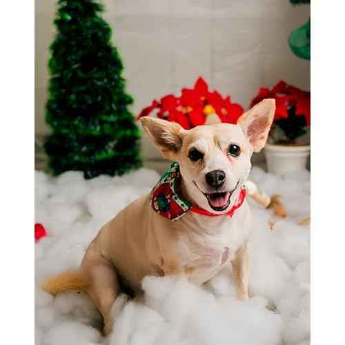 Christmas Fake Snow Decor, Cotton Snow Fluff Decor, Artificial Snow for Winter Village, Flame Resistant Indoor Snow Blanket for Xmas Display(5.6 OZ)