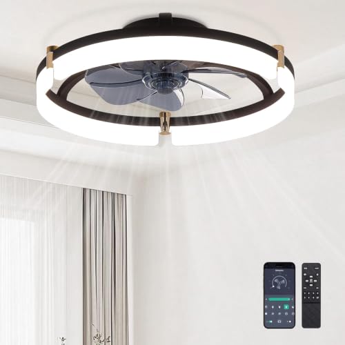 DIAMONDFORGE 20-Inch Matte Black Low-Profile Ceiling Fan with Lights & Remote