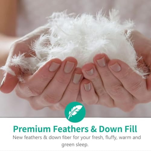 Queen Size Feather Down Comforter - Organic Cotton Cover All Seasons Medium Warm Ivory White Variation