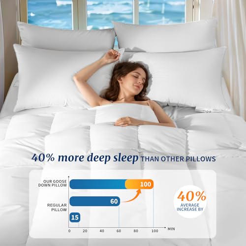Queen Size Canadian Goose Down Pillow - 900 Fill Power White Luxury Bed Pillow - AiAngu