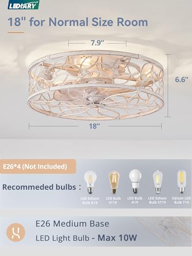 LEDIARY White Gold Caged Ceiling Fan with Light, Remote Control & Quiet Motor