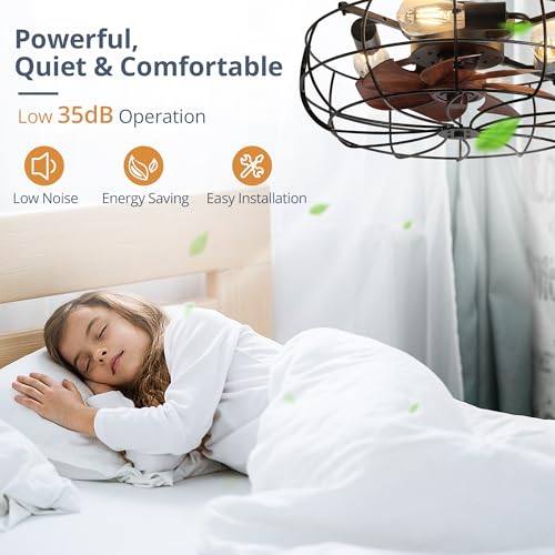 20-Inch Black Caged Farmhouse Ceiling Fan with Lights & Remote Control