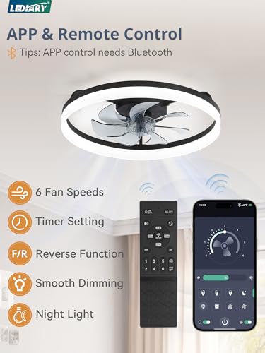 Black 20-Inch Low Profile Ceiling Fan with Lights, APP & Remote Control