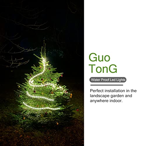 GUOTONG White 20ft Outdoor Rope Lights – Daylight White, Waterproof, Cuttable & Connectable