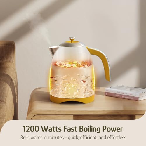 Hazel Quinn X Eduardo Recife Electric Water Kettle 1.7 Liters(57oz),