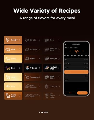 Bluetooth Meat Thermometer with 2 Probes - Digital Cooking & App Alerts - Black