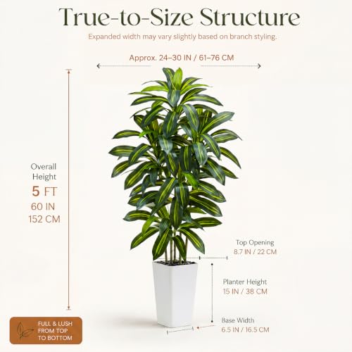 Dark Green Artificial Dracaena Tree 5FT Faux Plant with White Pot - Realistic Indoor Decor