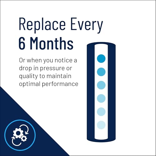 Pentair Pentek FloPlus-10BB 10-Inch Carbon Block Water Filter Cartridge - Pack of 1