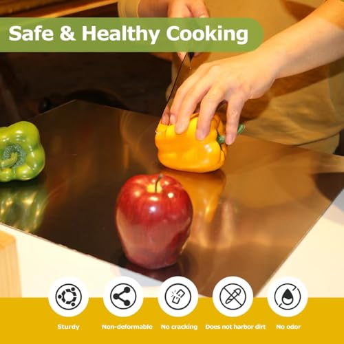 Large Stainless Steel Cutting Board for Kitchen - 27.6 x 19.7 Inches, Non-Toxic, Heavy-Duty, Multi-Use Food Prep Surface