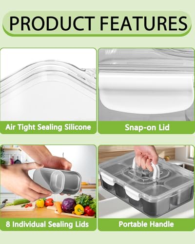 Silver Stainless Steel 8-Compartment Snackle Box Container with Lid & Handle - Large Travel Snack Tray