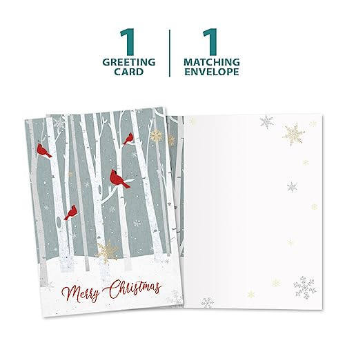 Tree-Free Greetings Christmas Cardinal Holiday Card - Winter Birch Forest, 1 Card
