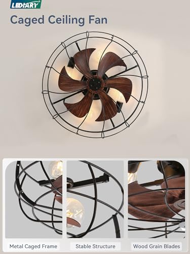 LEDIARY 23-Inch Farmhouse Ceiling Fan with Lights and Remote - Black