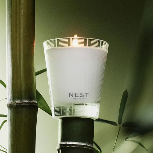Scented Classic Candle - Bamboo - 8.1 oz, Up to 60-Hour Burn Time, Reusable Glass Vessel