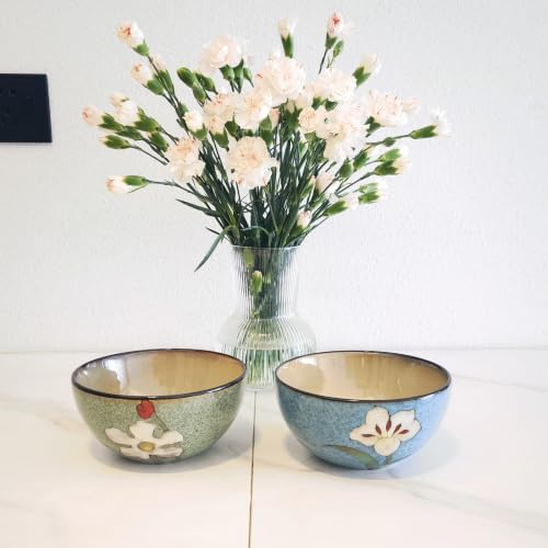 Ceramic Bowls Set of 4 - 28oz Colorful Salad, Cereal, Soup Bowls - Blue, Red, Green, Pink