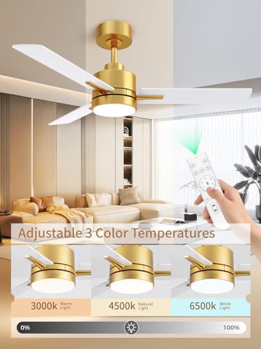 Metal Ceiling Fan with Lights and Remote Control - 42 Inch, Gold & White, Downrod Variation