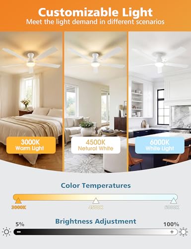 60 Inch Ceiling Fan with Lights - Remote & App Control, Dimmable LED, Reversible Flush Mount, White Variation