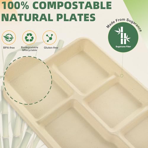 Eco-Friendly 5-Compartment Disposable Paper Plates - Medium 12.5x8.6 Inch Natural Pack of 100
