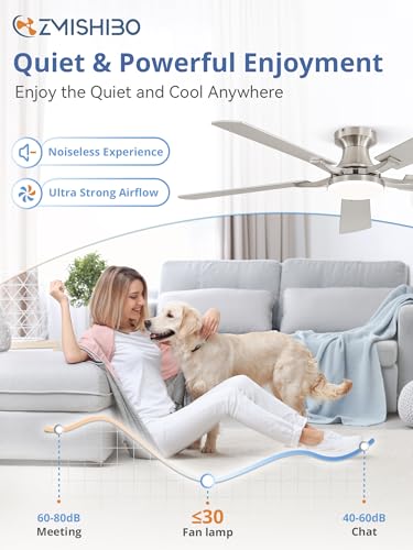 ZMISHIBO 52 Inch Nickel Ceiling Fan with Lights, Remote & App Control, Flush Mount