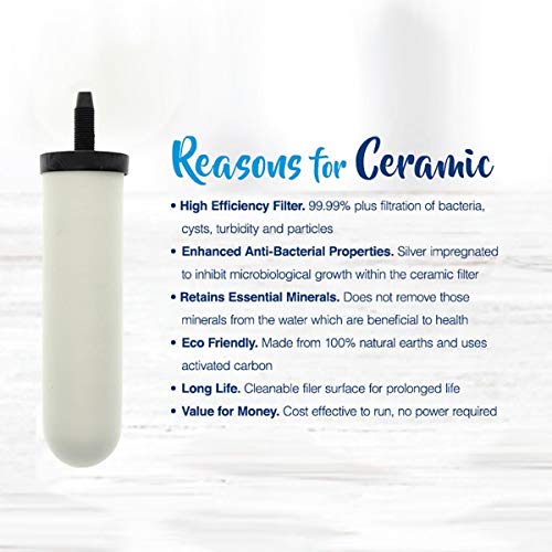 Ceramic Water Filter 0.5 Micron Super Sterasyl for Gravity Systems 2 Pack