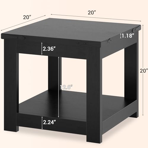 Homieasy Black 20x20 Square End Table for Living Room - Vintage Metal Accents