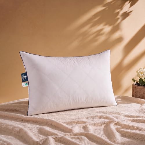 Pacific Coast Premium Goose Feather & Down Bed Pillow - Standard Size, Hotel Quality, Medium-Firm, 1-Pack (Variation: Standard)