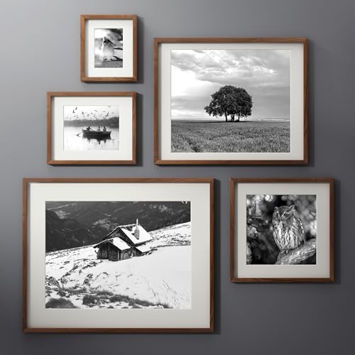 Walnut Picture Frame Set of 3 - 11x14 Natural Wood Wall Frames - Variation of Walnut / 11X14, 3P