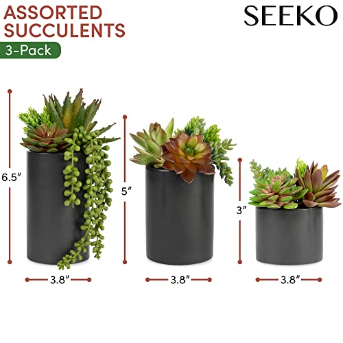Artificial Succulents Plants in Ceramic Pots - 3 Pack Assorted Faux Office Decor