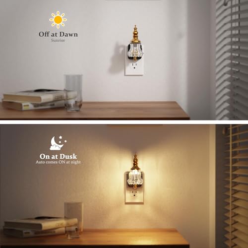 JandCase Vintage Glass Flower Night Light - Wall Plug-In Nightlight - Flower / 2