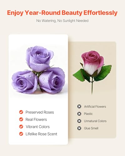 Purple 50 Preserved Roses in Round Box - VEVOR Forever Flowers, No Care Needed