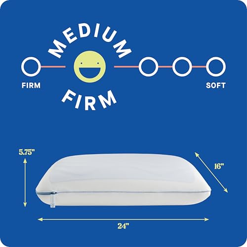 Sealy Dreamlife Standard Cooling Memory Foam Pillow with Gel Cover - Removable Washable Cover, Made in USA