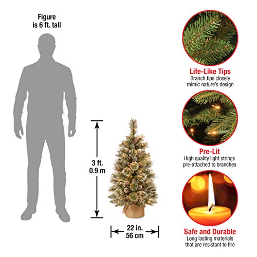 National Tree Company 3ft Pre-Lit Glittery Bristle Mini Christmas Tree