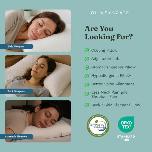 Adjustable Loft Shredded Memory Foam Pillow Queen Size - White / Classic