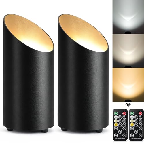 Black 2 Pack Indoor Floor Uplights with Remote & 3 CCT Dimmable Spotlight