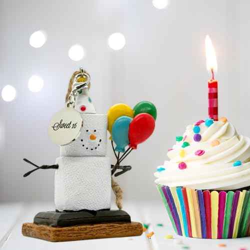 S¡¯More Birthday Ornaments for Christmas Tree, Desk, Shelf - Happy Birthday Ornaments Sweet 16