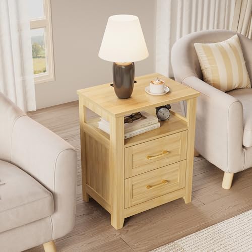 Decofy Farmhouse Oak 2-Drawer Nightstand Set of 2 with Charging Station