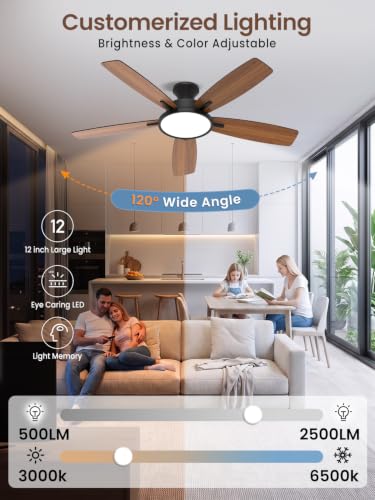 Black 52-Inch Ceiling Fan with Lights and Remote - Low Profile, Reversible DC Motor