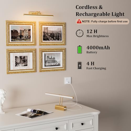 Picture Light for Wall Set of 2, Gold