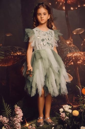 Tutu Dress for Girls - Embroidered Tulle Tiered Layered Flower Toddler Dress for Wedding & Birthday