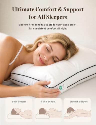 White King Size Dual-Layer Goose Feather Down Pillows 2 Pack