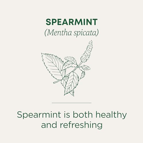 Organic Spearmint Tea Bags - 16 Count Pack of 6, Herbal, Caffeine-Free, USDA Organic, Ethical Sourcing