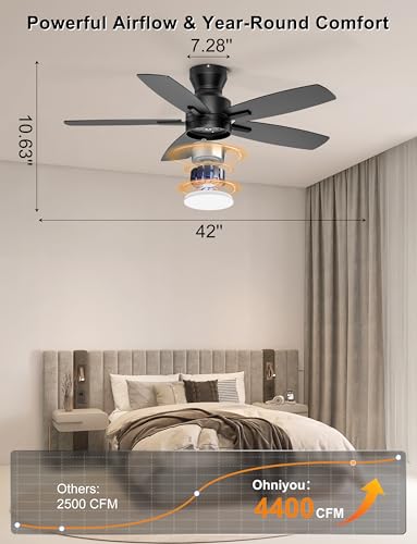 42-Inch Low Profile Ceiling Fan with Lights and Remote APP Control - Black