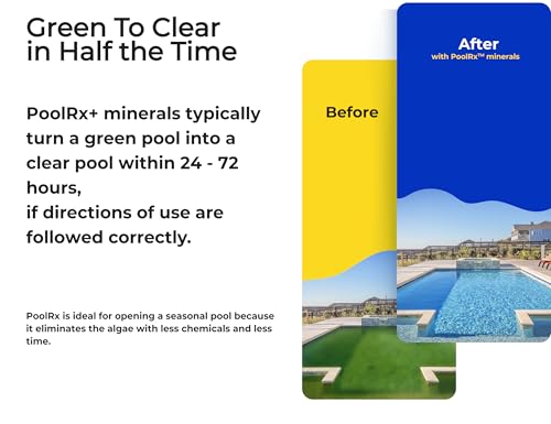 Pool RX 102001 6-Month Swimming Pool Algaecide Replacement - 8 oz, Blue, Single Unit