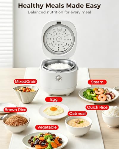 Mini Stainless Steel Rice Cooker 5 Cup Uncooked, 10 Cup Cooked with Timer - Warm White