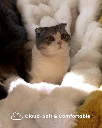 Ultra Soft Cozy Faux Fur Throw Blanket, Fuzzy Plush Thick Bubble
