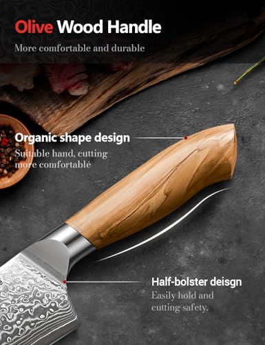 Emojoy 3-Piece Japanese Damascus Steel Knife Set with Olive Wood Handles & Wooden Box - Variation 3