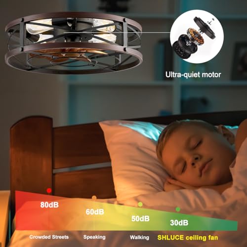 SHLUCE Black & Brown 20 Inch Caged Ceiling Fan with Light & Remote