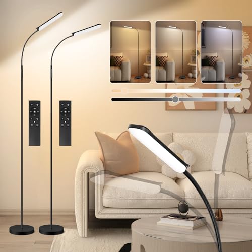 FRIDEKO HOME 2 Pack Black LED Floor Lamps with Dimming & Remote Control